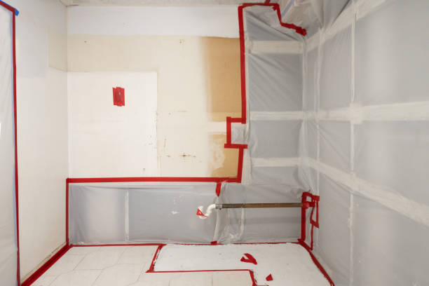 Best Commercial Mold Inspection  in Alamo Heights, TX